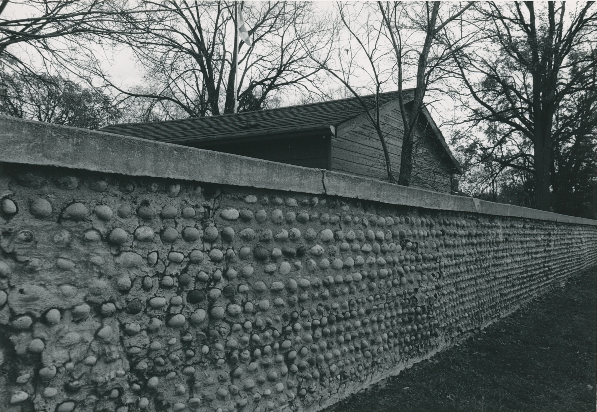 Bra-3 165 Grand River St N 8